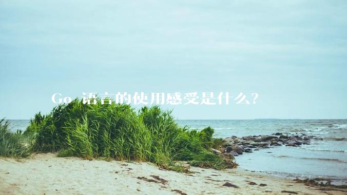 Go 语言的使用感受是什么？