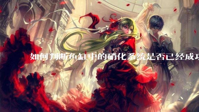 如何判断鱼缸中的硝化系统是否已经成功建立？