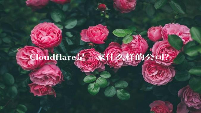 Cloudflare是一家什么样的公司？