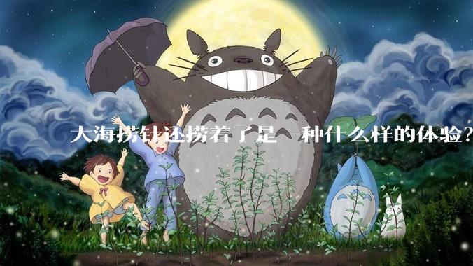 大海捞针还捞着了是一种什么样的体验？