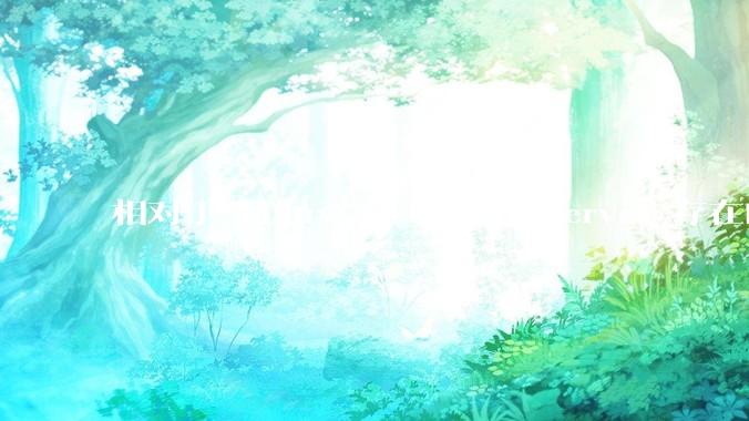 相对于 Linux，Windows Server 存在的意义是什么？